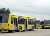 O moderno chassi de piso baixo com motor lateral traseiro projetado e construído pela subsidiária HVR deu origem a este urbano - um dos poucos vendidos no Brasil - da operadora paulistana Transtusa (foto: Romney Alves Pereira).