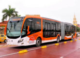 Em 2016, enquanto no Brasil enfrentava a falência, a Busscar colombiana vencia concorrência para fornecer a frota do sistema integrado de Cartagena; na imagem, articulado Urbanuss Pluss BRT em chassi Scania de motor traseiro (fonte: portal transcaribe). 