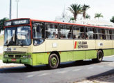 Outro Urbanus-Ford de São Luís (MA), este operado pela Solemar Expresso (fonte: portal minhavelhasaoluis).