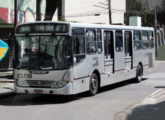 Carro semelhante da mesma empresa visto pela esquerda (foto: José Augusto de Souza Oliveira / onibusbrasil).