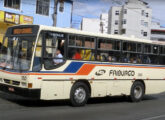 Um dos três Volkswagen com chassi curto da FAOL (foto: Leandro de Sousa Barbosa / onibusbrasil).