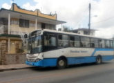 Na década de 2000 a Busscar forneceu grande número de ônibus para Cuba; o veículo da imagem operava na cidade de Matanzas.