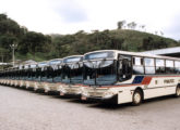 Frota de 27 Urbanuss em chassi VW adquirida na década de 90 pela Friburgo Auto Ônibus, de Nova Friburgo (RJ).