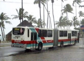 Articulado Urbanuss em chassi de motor dianteiro Scania F 94 HB operado pela Auto Viação Nossa Senhora da Piedade, de Maceió (AL). 