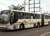 Urbanuss Pluss articulado operando no sistema integrado de Porto Alegre (RS) (foto: Isaac Matos Preizner).