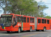 Articulado Urbanuss Pluss sobre Mercedes-Benz O500 MA da Borborema Imperial Transportes, de Recife (PE) (foto: Cleybson Silva Oliveira / onibusbrasil).