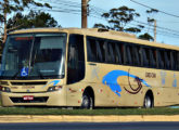 Sobre chassi de motor dianteiro é este El Buss 340 um pouco mais recente (como denota o novo conjunto ótico), da empresa Gidion, de Joinville (SC) (fonte: Alessandro Alves da Costa / egonbus).