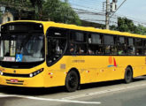 Apache Vip sobre VW da Viação Praiana, de Itajaí (SC): note a feliz solução da pintura do carro, realçando as linhas de caráter da carroceria (foto: Isaac Matos Preizner).