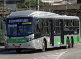 Ônibus paulistano semelhante, este operado pela empresa Gato Preto (foto: Bruno Kozeniauskas / onibusbrasil).