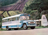 Para usos específicos (transporte rural ou escolar) e exportação, a Caio continuou a produzir o Mini-Caio, um veículo tipo lotação, aqui sobre chassi Chevrolet 1964; posteriormente o modelo seria batizado Jaraguá Andino.