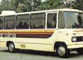 Micro-ônibus Carolina.