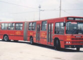 Um outro articulado Scania da mesma série da CMTC; a imagem é de novembro de 1987 (foto: Douglas de Cézare / railbuss).