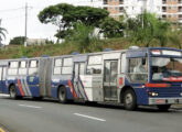 Vitória sobre chassi articulado Scania S 113; pertencente à empresa Ouro Verde, operava no sistema metropolitano de Sao Paulo (SP) (foto: Luciano Roncolato / interbuss).