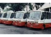 Frota de cinco micros Carolina V em chassi VW aplicados no transporte público carioca pela Viação Santa Sofia (fonte: L. C. Triani / ciadeonibus).