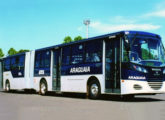 Articulado Millennium-Volvo do Rápido Araguaia, de Goiânia (GO) (foto: Carlos Júnior / onibusbrasil).