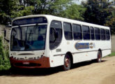 Um Apache Vip pertencente à operadora Cidos Bus, de Caruaru (PE), fotografado em 2012 (foto: Milson Venceslau / busdovanderbilt).