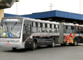 Articulado Millenium II 2010 do Rápido Luxo Campinas sobre chassi Mercedes-Benz O500 MA (foto: Thiago Bonome / revistaportaldoonibus).