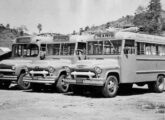 Três ônibus Chevrolet na frota da Viação Águia Branca, de Cariacica (ES), dois com carroceria da própria GM e, à esquerda, um Carbrasa.