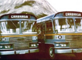 Dois urbanos sobre chassi LP do final da década para a Friburgo Auto Ônibus, de Nova Friburgo (RJ).