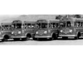 Quatro pequenos ônibus com inusitada carroceria Cermava e chassi desconhecido, em 1960 incorporados à frota da empresa Madureira & Cia., de São Gonçalo (RJ) (fonte: portal classicalbuses).