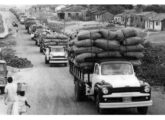 No extremo oposto do país, na década de 60, caravana de caminhões transporta sacas de algodão em Nísia Floresta (RN) (fonte: Luiz Carlos Freire / Guardião de Memórias).