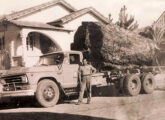 Nestas duas imagens dos anos 70, C-60 médios a gasolina transportam toras de madeira no interior do Paraná; apesar de equipados com terceiro eixo, a carga parece ultrapassar a capacidade do veículo. 