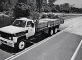 Caminhão 19000, para 15 t, testado pela revista Carga & Transporte em novembro de 1985: o motor diesel de 135 cv foi considerado insuficiente para a capacidade de carga (fonte: João Luiz Knihs).