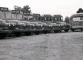 Frota de ônibus Chevrolet 1948-51 do colégio paulistano Dante Alighieri; à direita, um Coach leve de 1953 (fonte: portal classicalbuses).