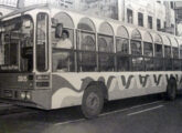 Com a mesma pintura (seria o mesmo veículo?), a jardineira da foto era operada pela Transportes Ondina, de Salvador (BA) (foto: André Moreira Gross / onibusbrasil).