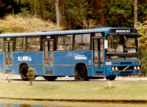 Outro Minuano-Volvo da Glória, agora trazendo a pintura padronizada do sistema integrado de Blumenau (fonte: portal valebus).