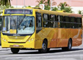 Svelto em chassi Volkswagen operando na Região Metroolitana de São Paulo (SP) (foto: Flávio Oliveira / onibusbrasil).