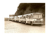 Frota de ônibus urbanos Cribia LP 1974 da Viação Flecha Branca, de Cachoeiro de Itapemirim (ES) (foto: Flecha Branca).