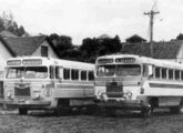 Duas gerações de ônibus Eliziário-Ford da empresa Leal atendendo à ligação Guaporé-Porto Alegre (RS) (fonte: Olides Canton / onibusbrasil).