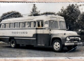 Ford F-600 da Empresa Rio Paraná, de Toledo (PR), operando no transporte rodoviário do extremo Oeste do Estado (fonte: Ivonaldo Holanda de Almeida).