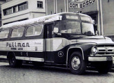 Eliziário rodoviário sobre chassi de caminhão Ford F-600 nacional do Expresso Riosulense, de Rio do Sul (SC) (fonte: portal egonbus).