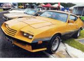 O mesmo carro foi exposto em novembro de 2024 no Primeiro Encontro de Carros Antigos do Sudeste, em São Roque (SP) (foto: Odair Adinei Dias Ferraz / Classic Show).