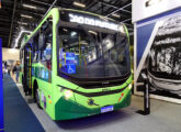 A seguir, diferentes modelos Eletra expostos na Lat.Bus 24 em seu stand ou no da Caio: ônibus escolar para 41 passageiros sobre chassi Volkswagen 17.230 ODS (foto: LEXICAR).