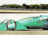 FEI X-13.