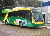 Carroceria Viale sobre chassi Tuttotrasporti equipando a segunda versão do ônibus a hidrogênio desenvolvido sob coordenação da EMTU/SP; três unidades foram colocadas em operação, em 2015, no corredor ABD (foto: Adamo Bazani).