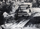 Caminhão F-600 trafegando pela precaríssima BR-364 - a estrada Cuiabá-Porto Velho - em 1966 (foto: O Globo).