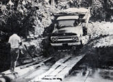Caminhão F-600 trafegando pela ainda precaríssima BR-364 - a estrada Cuiabá-Porto Velho - em 1966 (foto: O Globo).