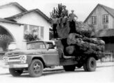 Caminhão médio assumindo tarefa de extrapesado: F-600 transporta toras de madeira no Paraná, no início da década de 70.
