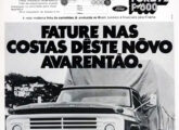 ... e o caminhão F-600 (fonte: Jorge A. Ferreira Jr.).