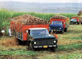 Três caminhões F-6000 aplicados na colheita de cana-de-açúcar ilustrando publicidade da década de 80.