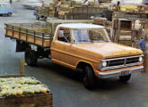 Em junho de 1980, buscando ocupar o vazio entre os modelos F-1000 e F-4000, a Ford lançou o médio F-2000, com rodado traseiro simples e o mesmo entre-eixos da picape (foto: Roberto Okumura / Transporte Moderno).. 