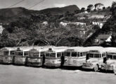 Parte da frota da Friburgo Auto Ônibus, de Nova Friburgo (RJ), em meados dos anos 50; a foto mostra quatro Ford Transit e um coach Chevrolet, além de dois lotações (fonte: Ivonaldo Holanda de Almeida).
