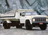 Ford F-11000.