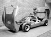 Os grandes capôs basculantes permitiam amplo e livre acesso aos órgãos mecânicos do Fúria/Lamborghini (fonte: Paulo Roberto Steindoff / vintageclassiccars). 