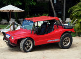 Modelo semelhante na praia de Icaraizinho, em Icaraí de Amontada (foto: LEXICAR).