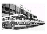 Parte da frota de 100 ônibus Grassi-FNM, defronte da revendedora A Veloz, no dia da entrega à operadora municipal paulistana CMTC.